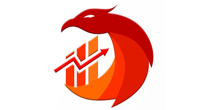 Junior Financial Executives